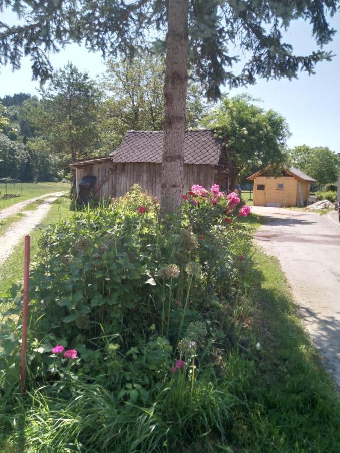 Hiska Zeleni Raj Villa Podnart Exterior photo